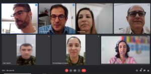 Reunião online